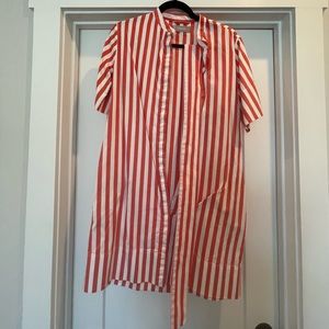 Everlane Size 4 Collarless Belted Shirtdress